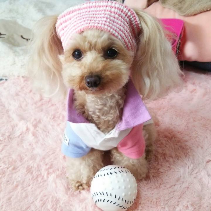 2fe72579 31b3 4be3 b63f 116d1a248422 1526029450633