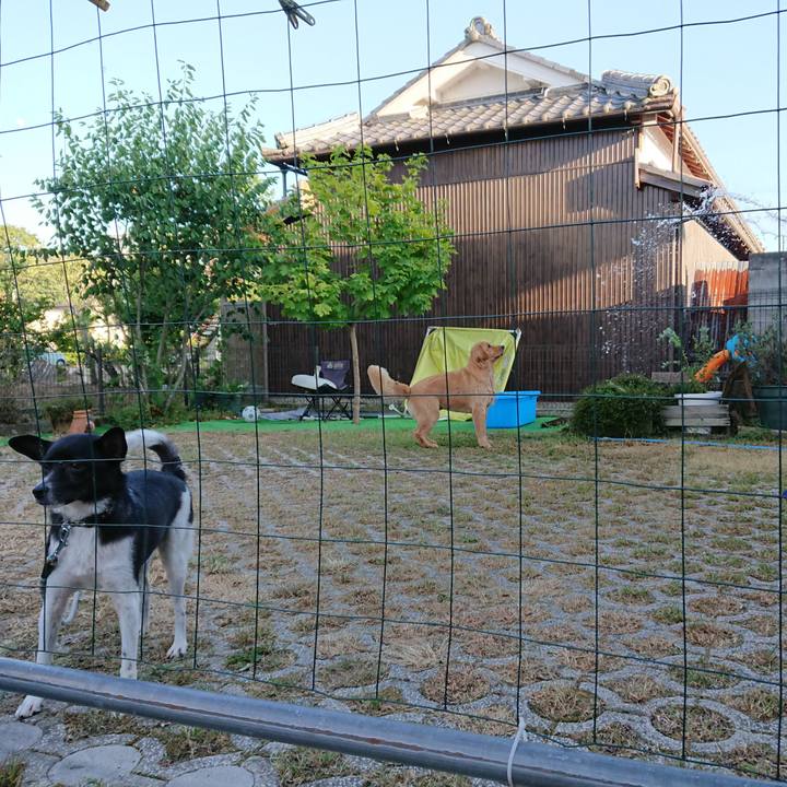 2fe73121 6415 4530 8246 a5e703a11df7 1532428107931