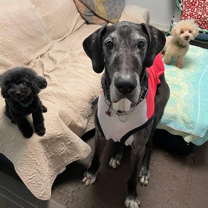 2fe76a4a 678d 442f 8712 e6b84d84a66e 1628635827568