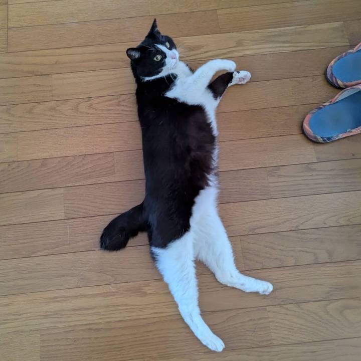 2fe797de a7d1 422d b804 b042d9b106c4 1745043483822