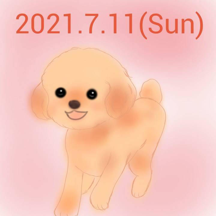 2fe79a78 01d6 4052 b151 4786977c4f3c 1625975946302