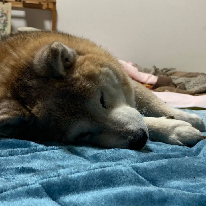 2fe79a7d f505 43b2 bd81 01de44742448 1672487934059