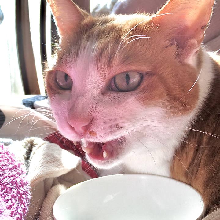 2fe7af7a df59 4442 8560 912090bc4b90 1572921551452