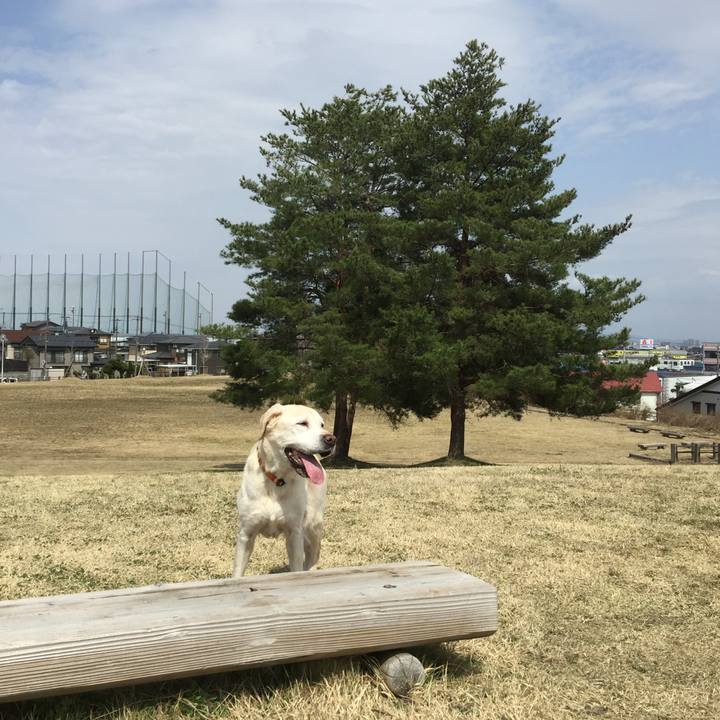 2fe7dac4 4c8a 485b 88ba 1e1c6b0f1905 1522815640076