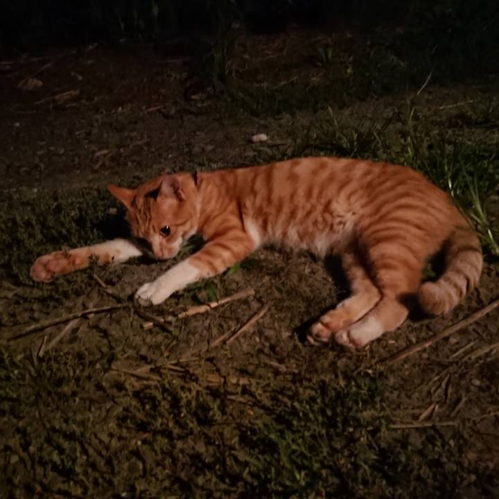 2fe7f9a4 8961 43ac 9767 a7bb585206a9 1564144903391