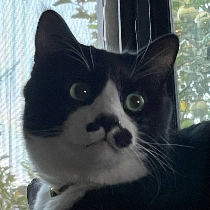 2fe7f9ac 5f9b 4882 8c35 560cace02267 1725872486182