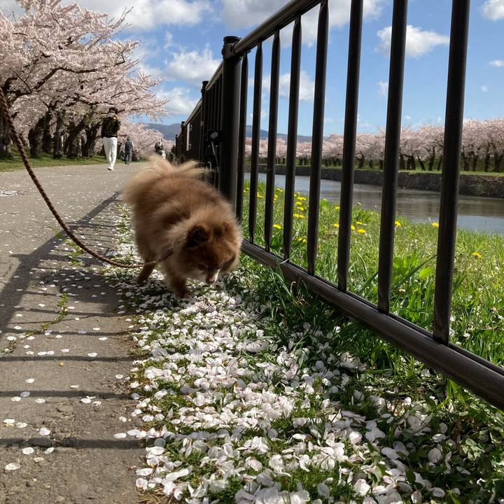 2fe8134a e789 47ed a488 3a571d93fb4b 1651029186506