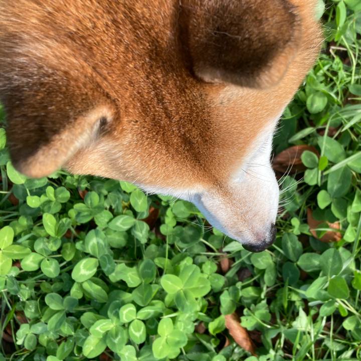 2fe838c6 8344 47dd acd3 faedba905c8e 1732695545908