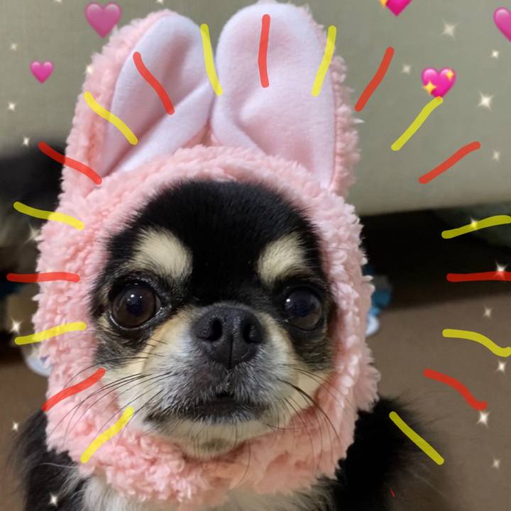 2fe867df 5abe 487a b257 1fc836861196 1632200517651