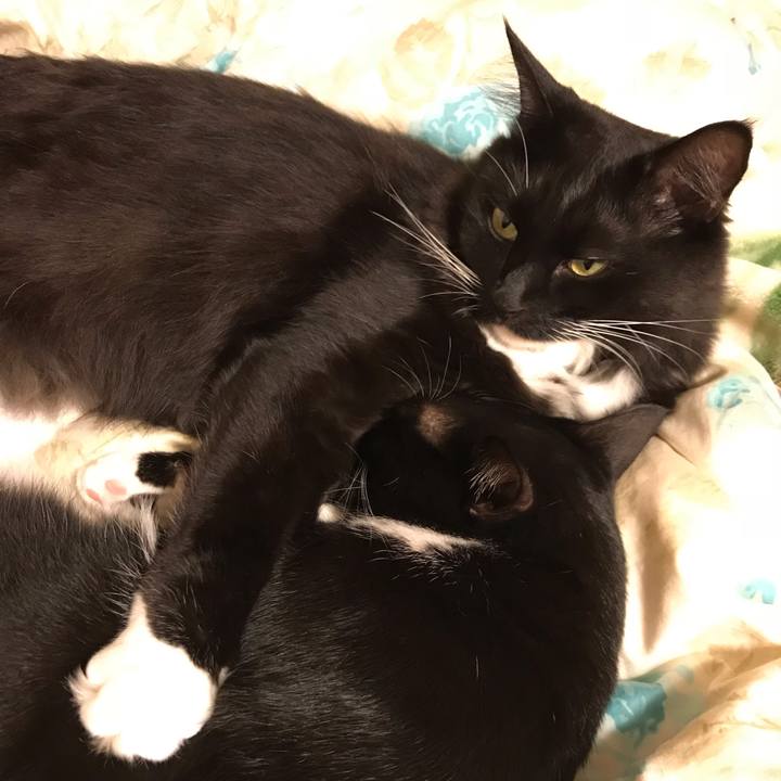 2fe86d6a fe23 415c bda6 cf05630329d1 1539765435650