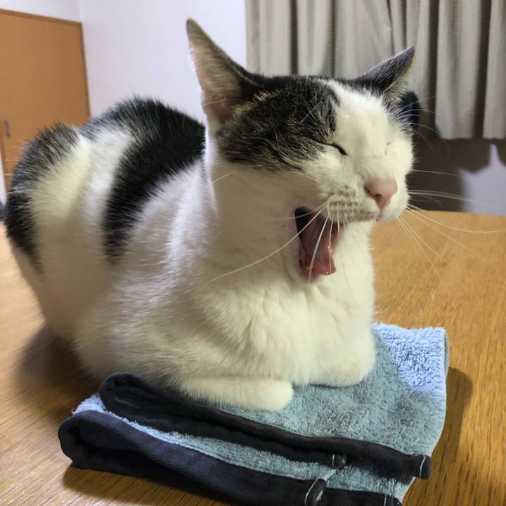 2fe88fdd 1c45 4cbc b4c2 7600659cdb96 1714045431797