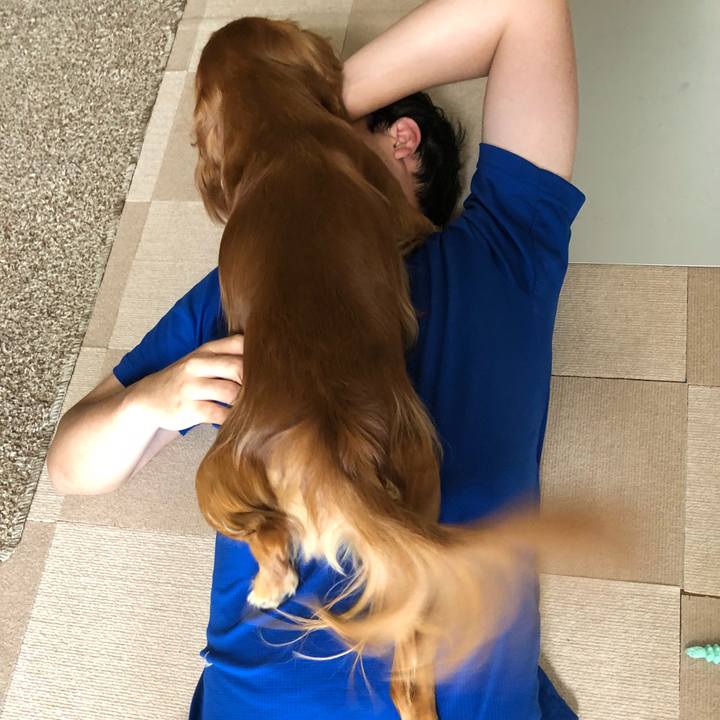 2fe8c60e 4bd1 4430 af12 d96243e442d7 1535841298118