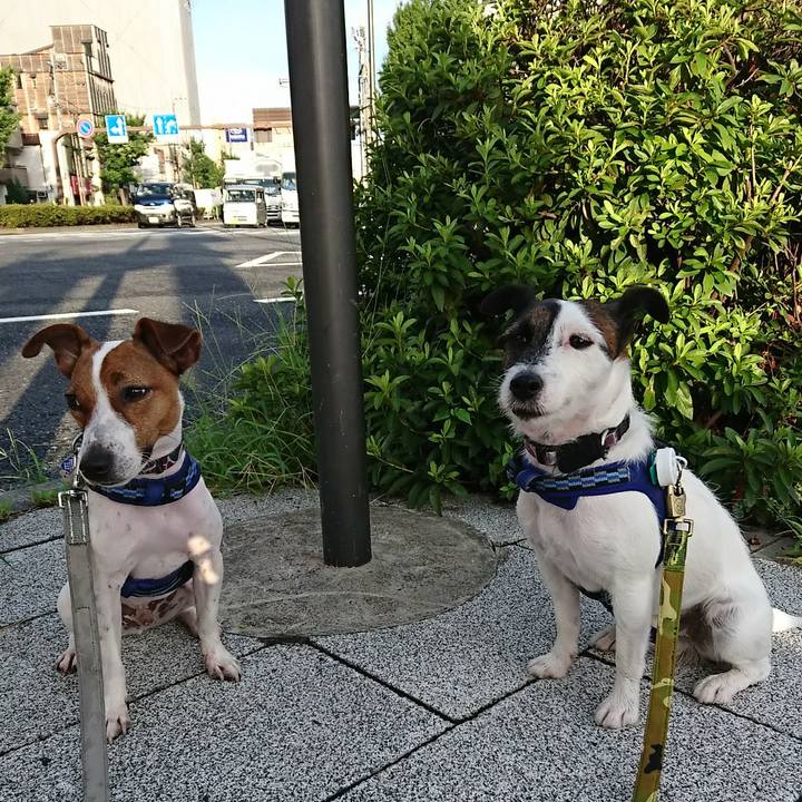 2fe8ebb0 91ce 4704 8b8c 1e90b79915dc 1534195033101