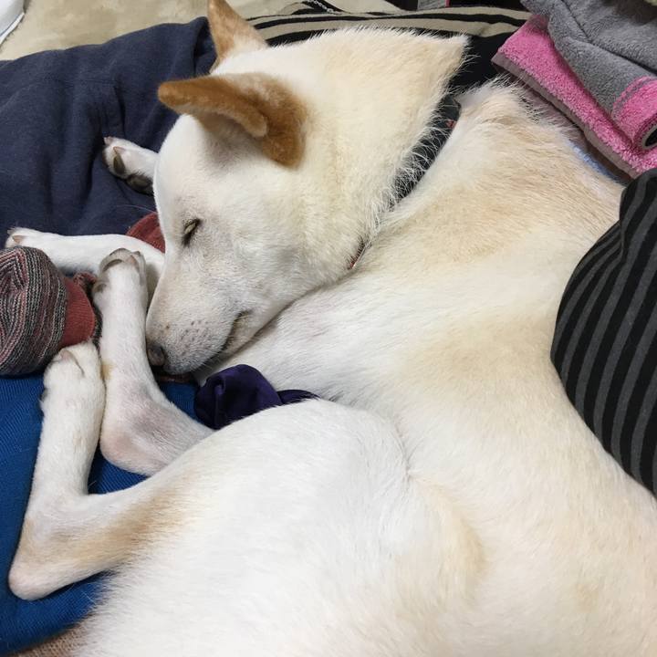 2fe92e54 c45d 4808 ac4f 84c247e8fcbf 1509005841335