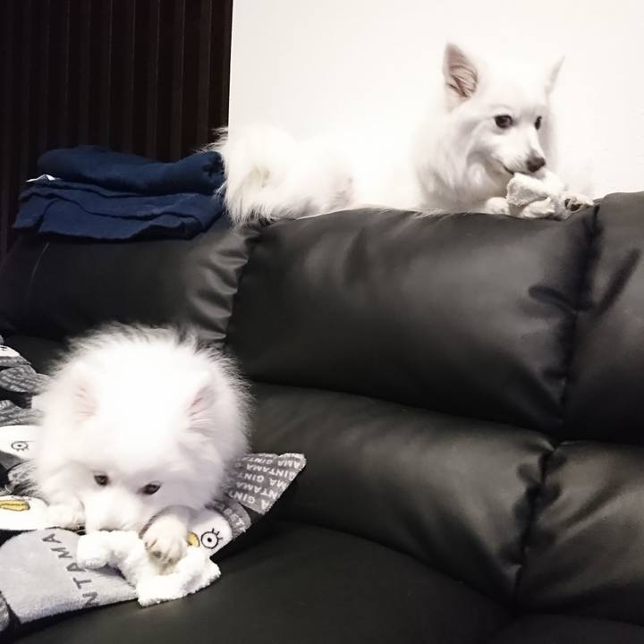 2fe94c27 ff49 420e 88b9 3446aa59c46e 1548913162244