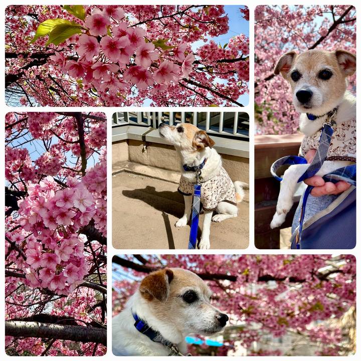 2fe969a5 c145 495b aa77 77d2e1e938d2 1678513509540