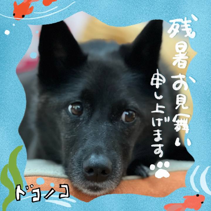 2fe978bf c9ed 4c74 83d9 a2a678ecd1e9 1723170099507