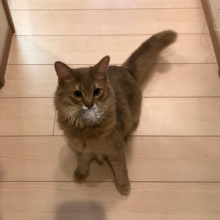 2fe986b0 03c8 478a a77c 44ade46e9c0a 1591313304737