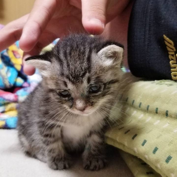 2fe99894 dacb 45df 8a4d 67fe627bd03e 1659695878257