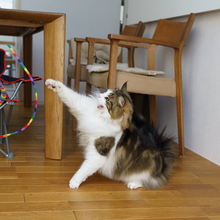 2fe9df3d e871 4d19 a93d dc3c1f26e55c 1649394695612