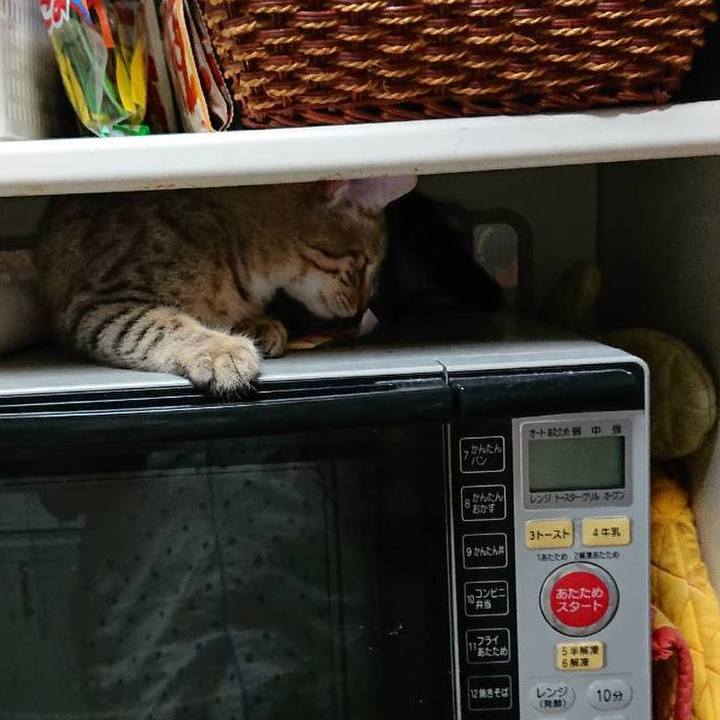 2fe9eb3c 81ad 409f 86e9 da48017d1e3a 1568210699592