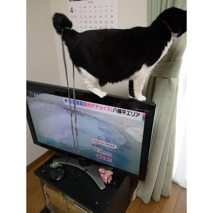 2feac9e5 4afa 4e5c 9220 1845466660cb 1681271553931