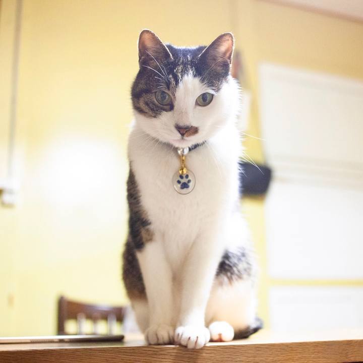 2fead03f 241d 4791 9ce0 c29f873ae6e0 1580743727373