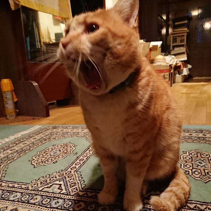 2feaea99 6551 4778 a474 87e11bf051ff 1580374530497