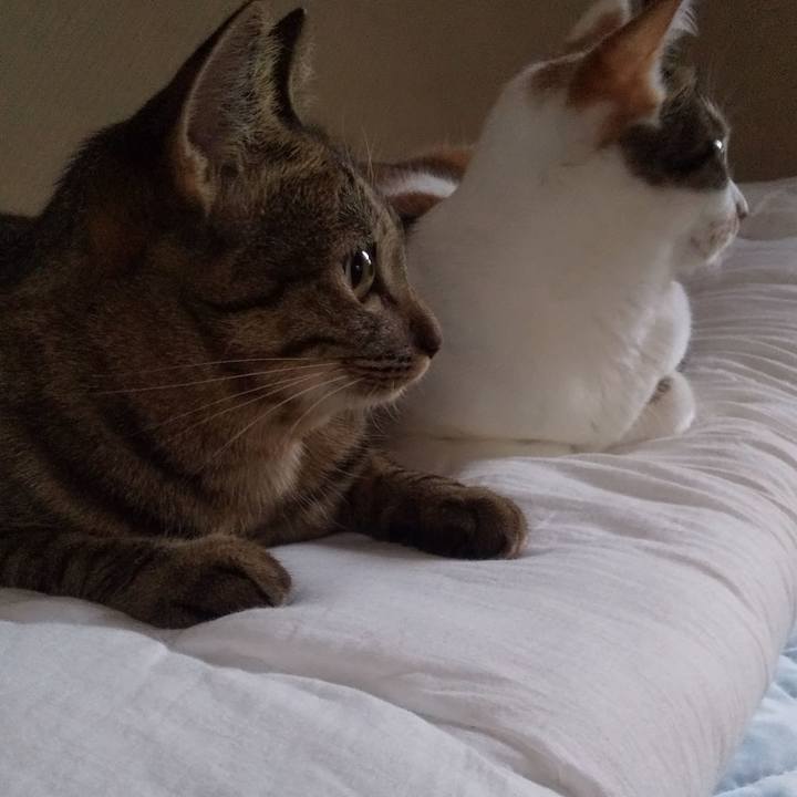 2feb7bf9 2cc2 4dd1 ad52 521dc8f3d544 1665044304493