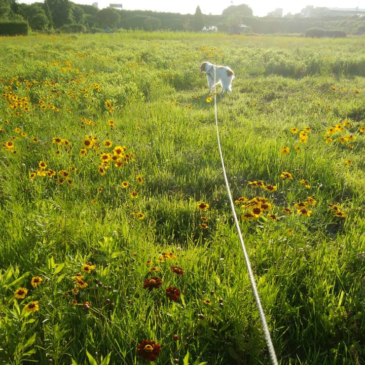 2feb824a 703d 486c be05 aa9ba6e15158 1530452677977