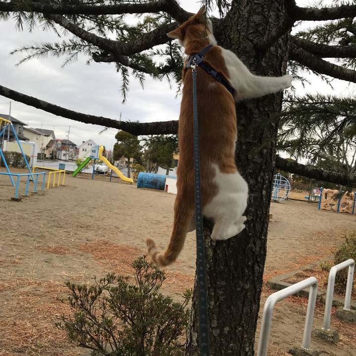 2febb897 88cc 4c1a 8cb6 fffca93e163d 1515561476919