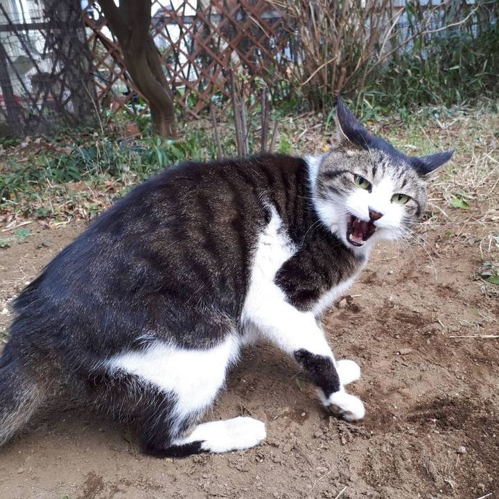 2febdcc5 c6e0 4a4a a97d a694422132e9 1643099002066