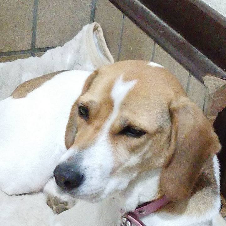 2febf801 9a17 46f8 9c8f 7694896a0b08 1576056766841