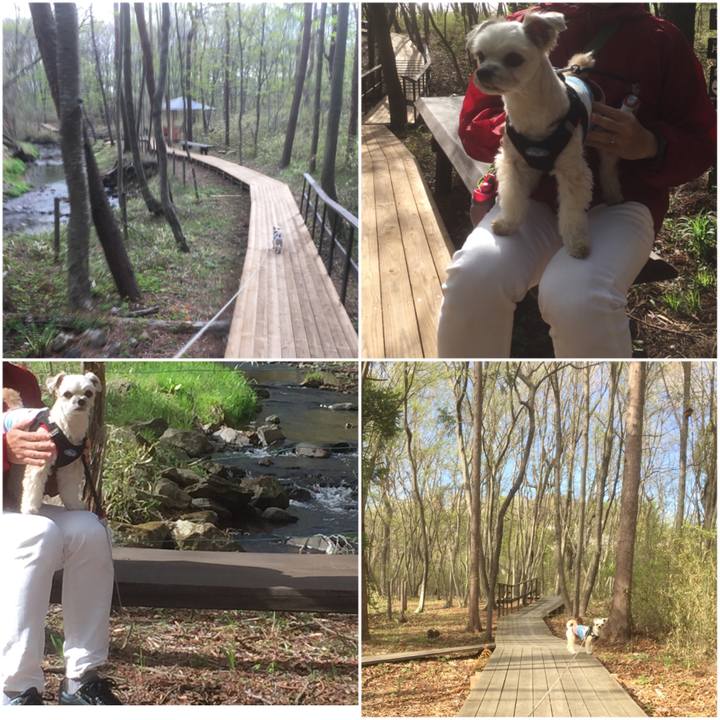 2fec115f 3b00 4593 a93e 0a4a758900ed 1556603188904