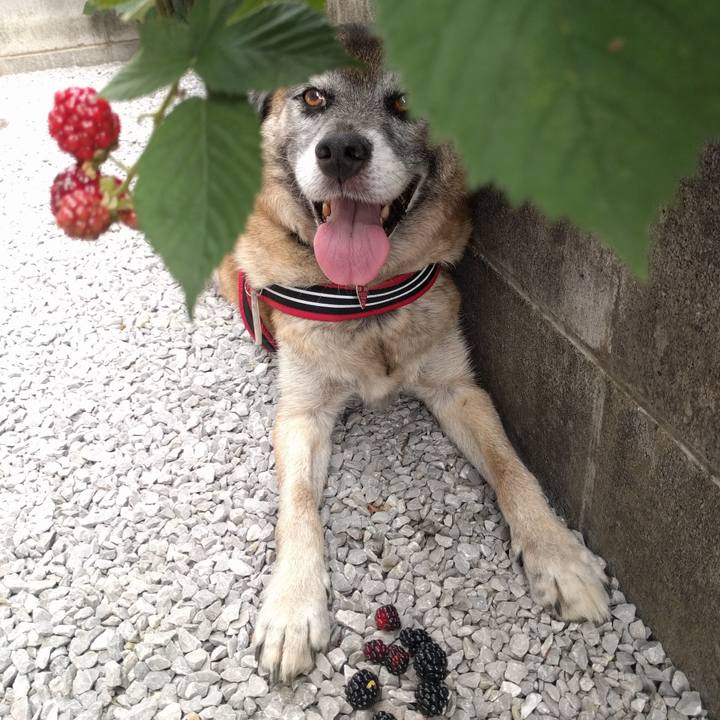 2fec1dc8 6cba 48b1 8a9a a8e024a1a990 1734312463825