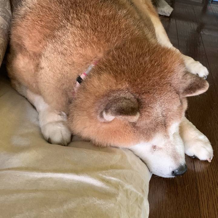 2fec334f ff70 48f5 b7b3 3e7fbf9cb4cc 1651618878682