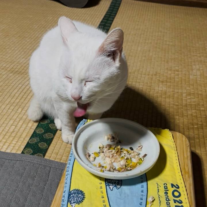 2fec3825 d6ab 4bee b6c8 edced953e39e 1767877114118