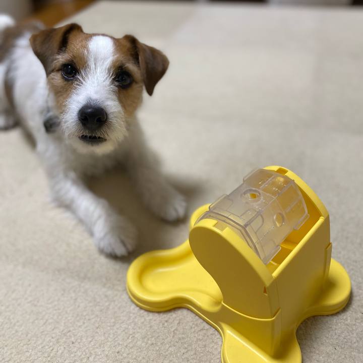 2fec7f1c 6407 4c47 aeb5 ff07a36d59d9 1738761129603