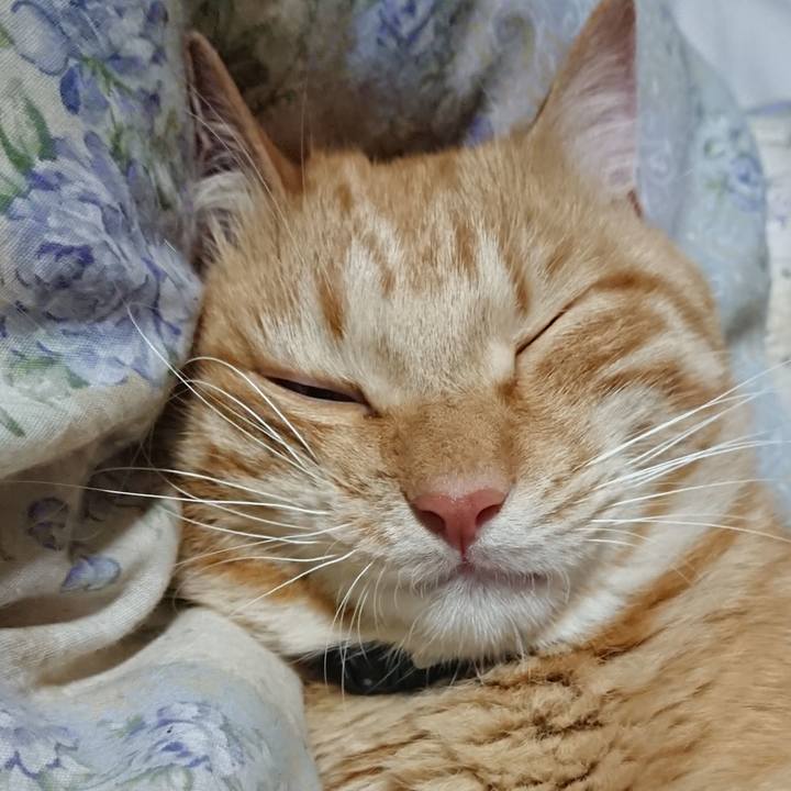 2fecf2ee cfa1 45c6 836a 94a9a93afc67 1655471970386