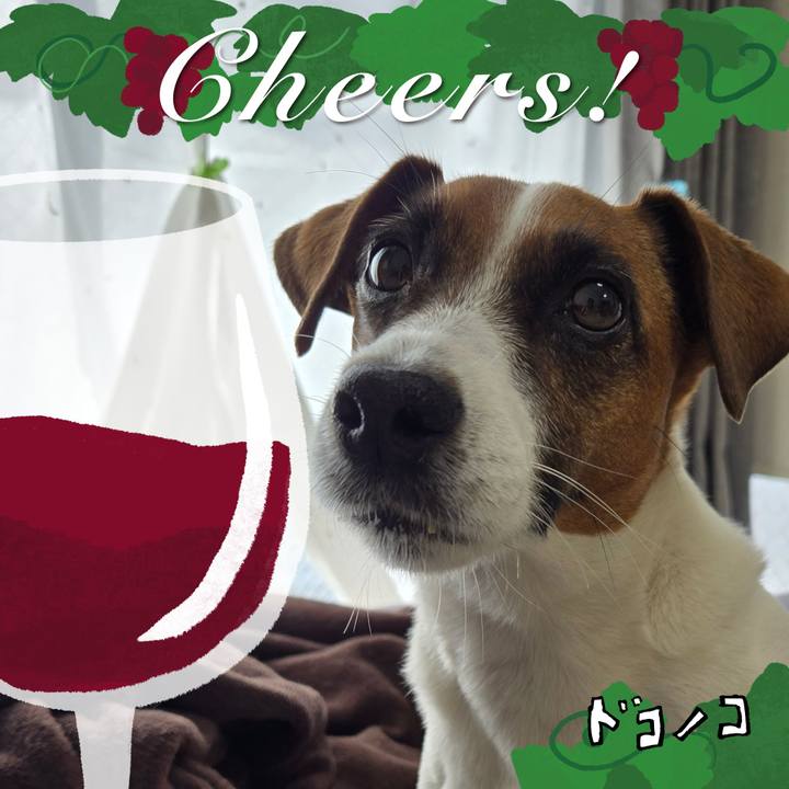 2fecfd7d 695e 4904 8844 4db5efdc4857 1761382351793