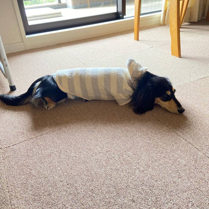 2fed271d 0940 45fa 83e9 6fadf0c5e7cc 1712959880368