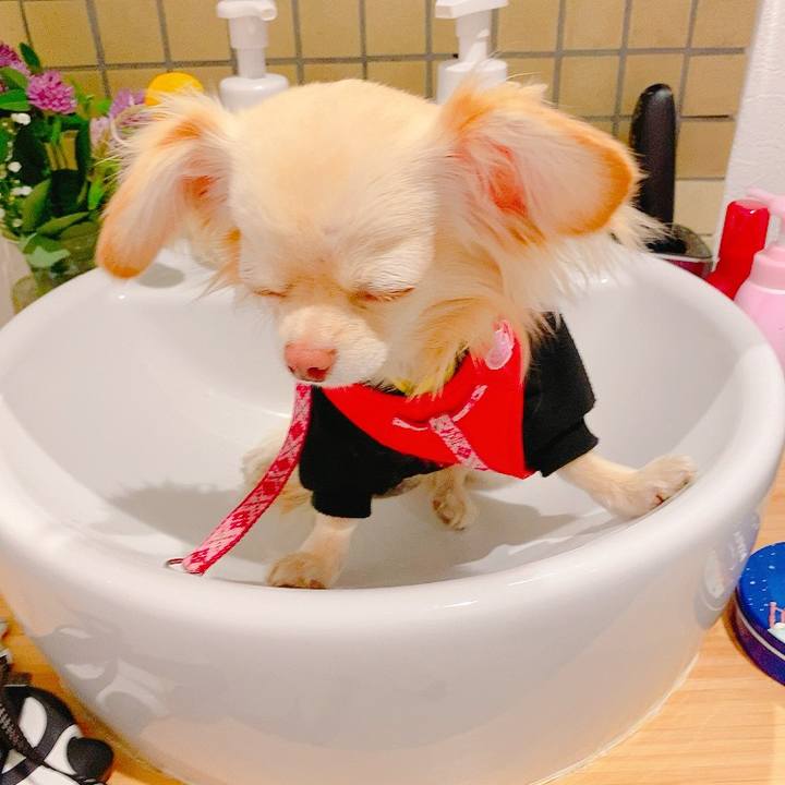 2fed42dc 88d4 4c50 9025 9cc685b74fc6 1620304641880