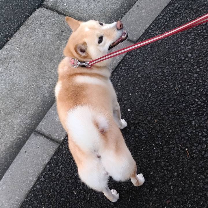 2fed641c 1e57 4345 8196 a39c689731b8 1600120687237