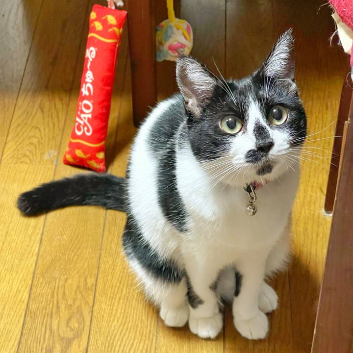 2fed88ad f54b 4bef ba2a 7a917ad401a3 1758236101366