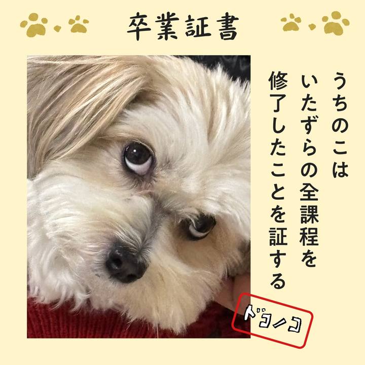 2fed94e7 21c5 41c8 90c5 e41c518c9612 1771912093482