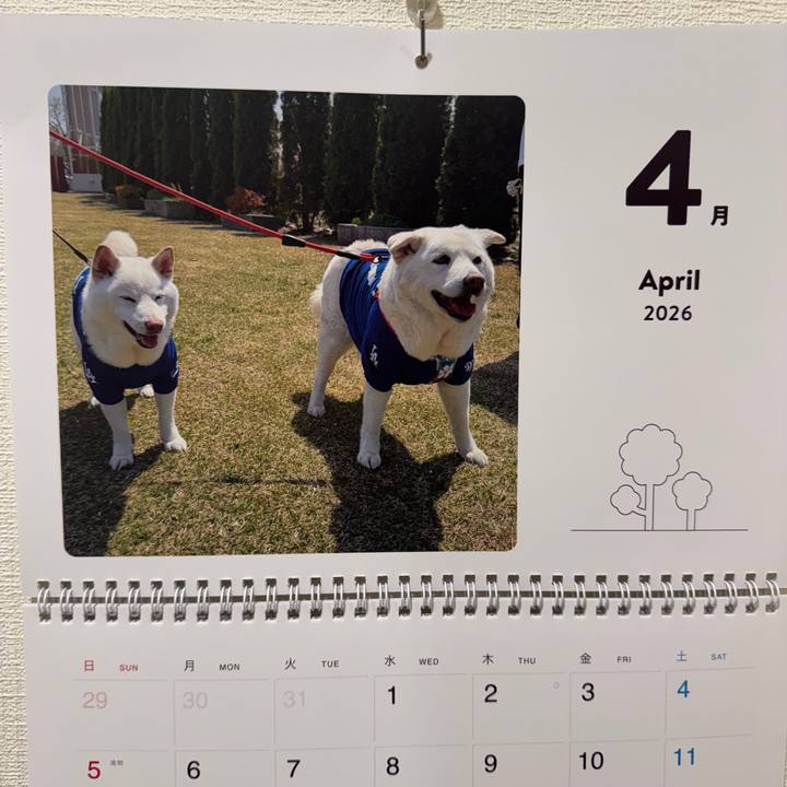 2fedba53 d0c9 45e5 860b 12b27b5867f4 1775001594520