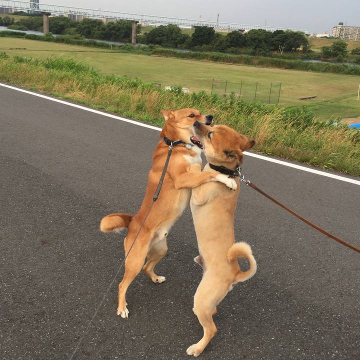 2fee46fa f459 481c 8214 fdb109f8cf4d 1722811305304