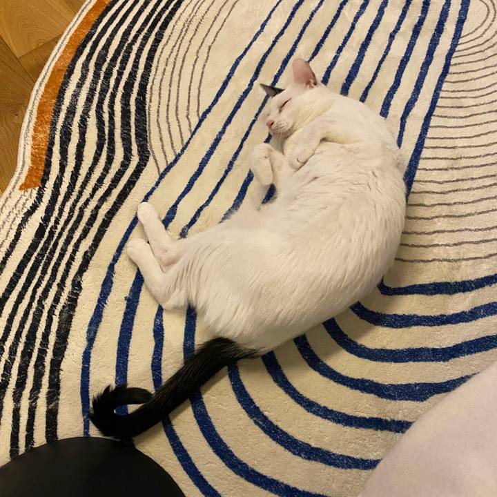 2fee7931 757d 448e be6b e5f6cf9a1638 1739154538789