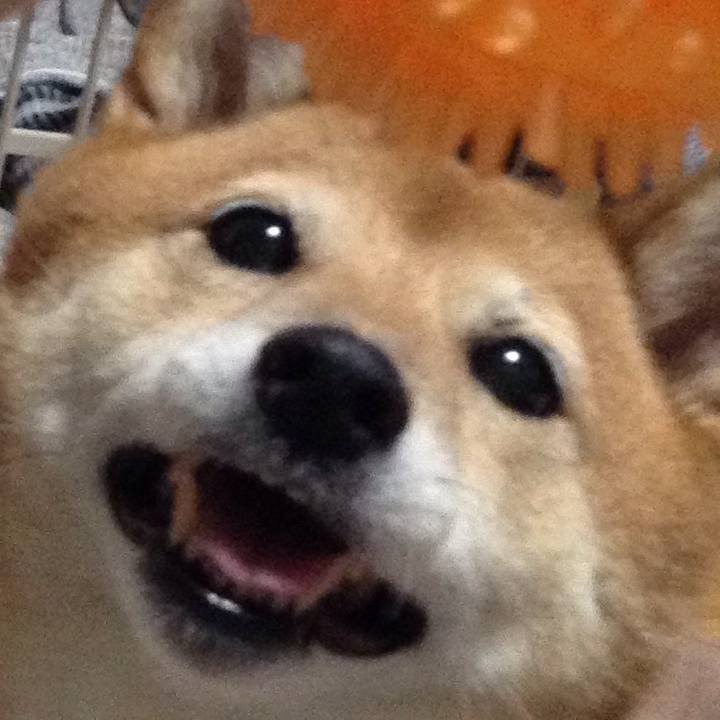 2fee8dc8 125a 46d8 aeee 624806b21537 1532950431451