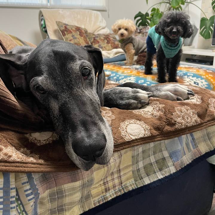 2feee5ed 49a8 49ce ab5e 7be7f062bc25 1643322587143